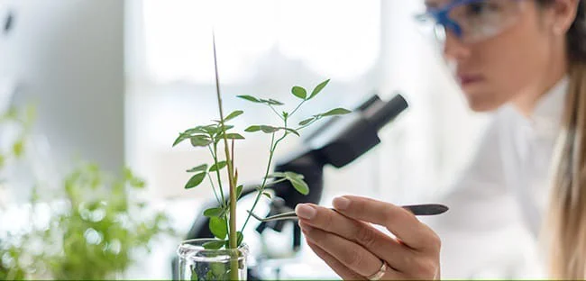ciencia y tecnologia microscopio