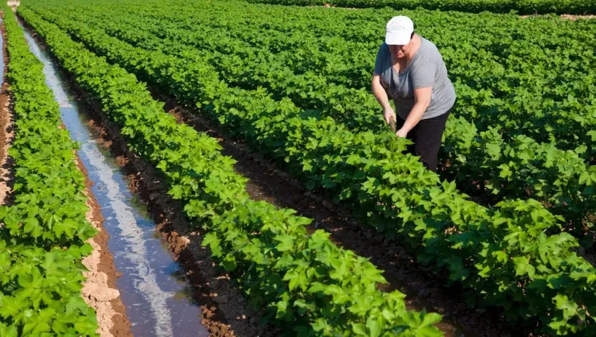 WhatsApp Image 2025-08-31 at 14.00.49