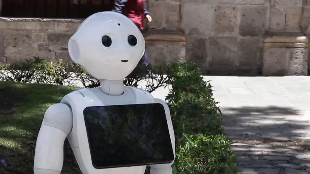 Imagen de WhatsApp 2025-08-23 a las 19.53.43_ddcc2480