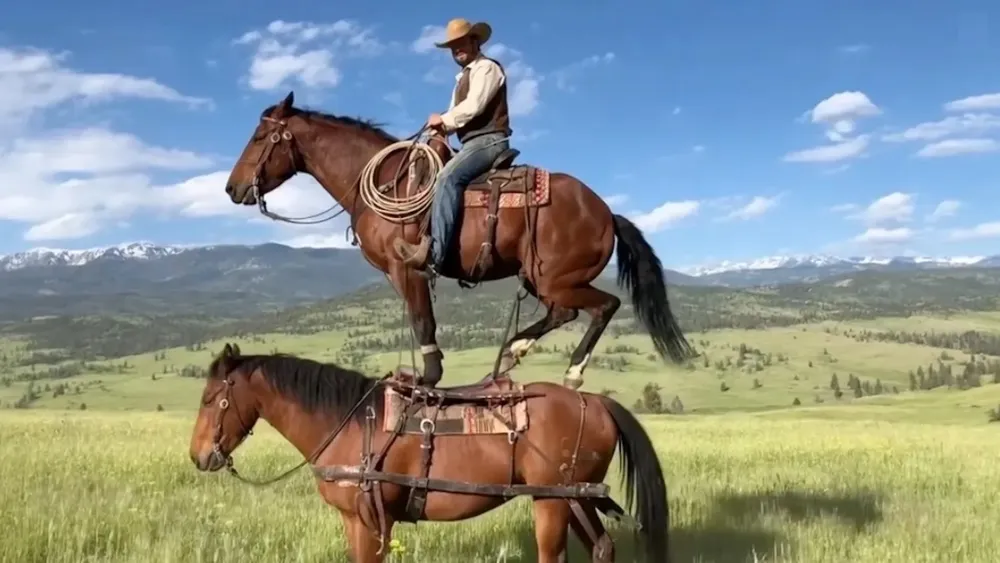 WhatsApp Image 2025-10-15 at 23.42.47