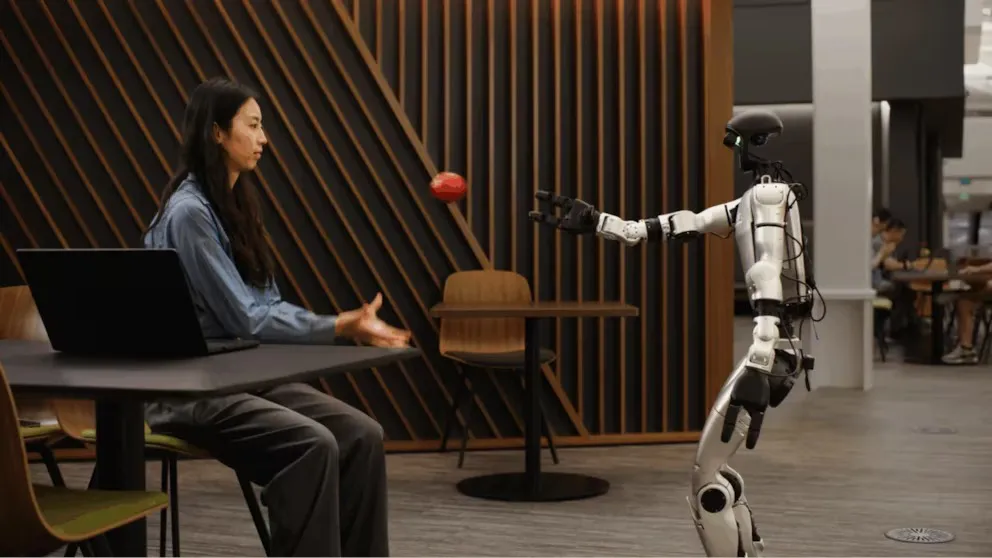 WhatsApp Image 2026-02-10 at 17.54.51