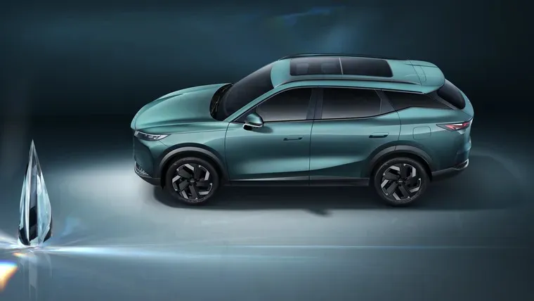 WhatsApp Image 2026-02-10 at 17.25.31