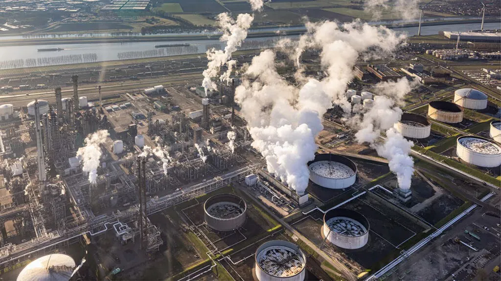 WhatsApp Image 2025-11-02 at 21.19.54